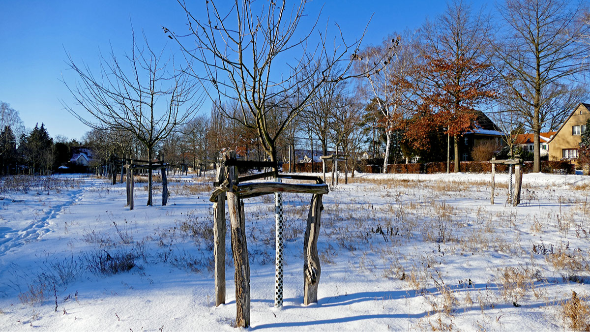 Janua 2026: Winterruhe